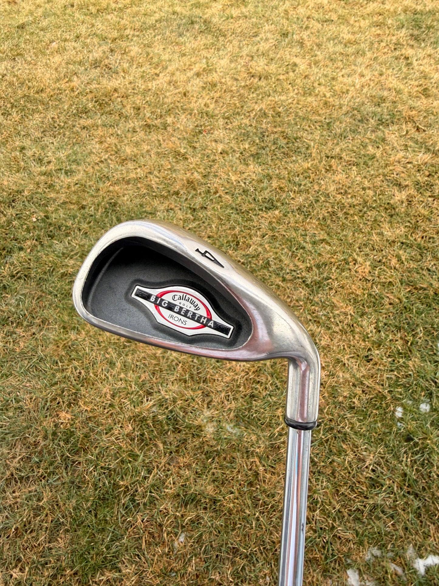 2002 Big Bertha Individual Iron