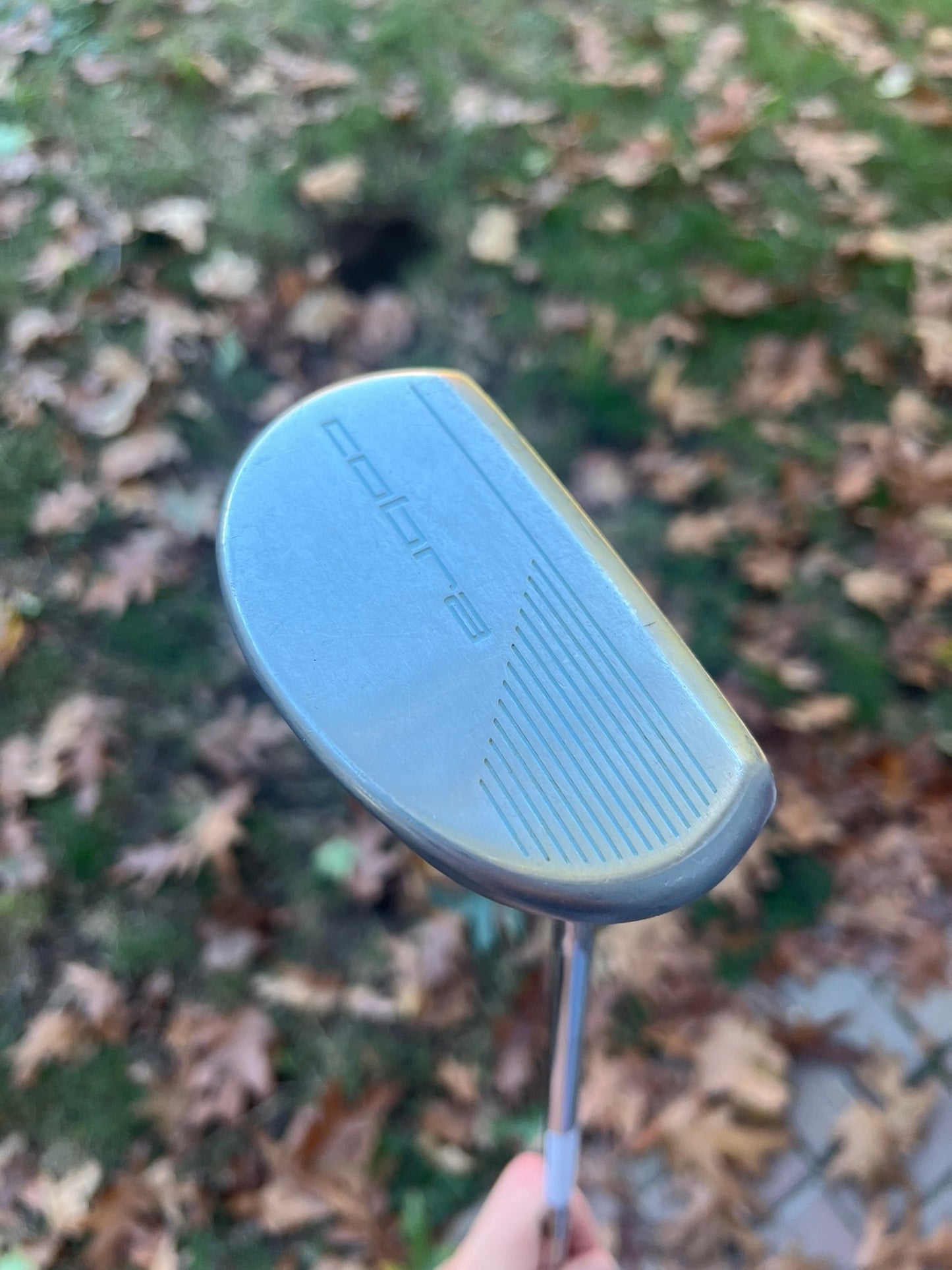 Mallet Putter