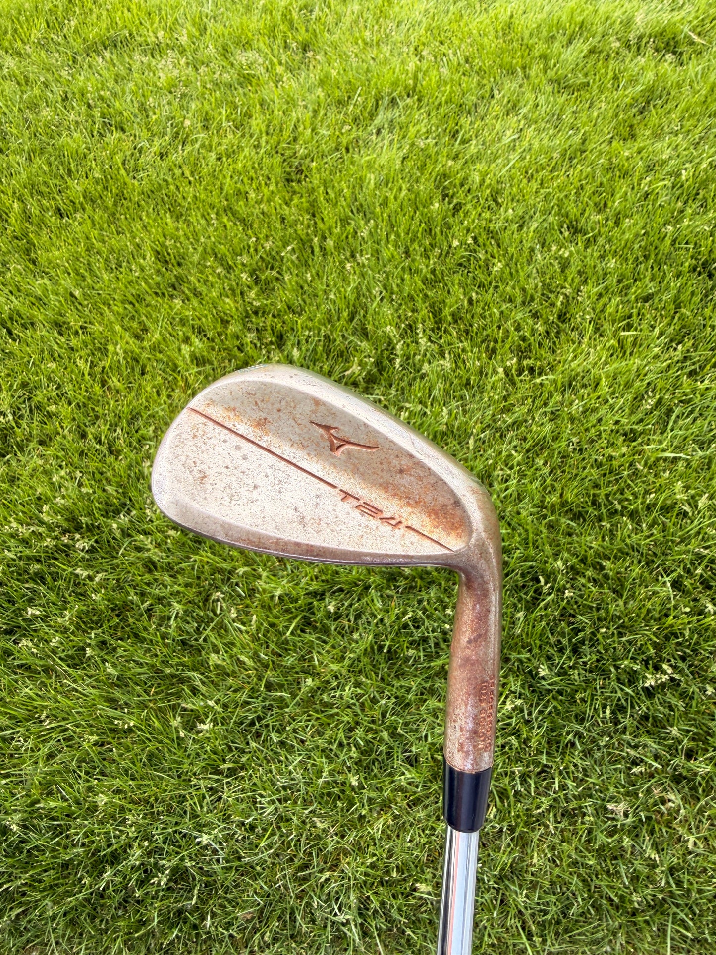 T24 Raw Wedge