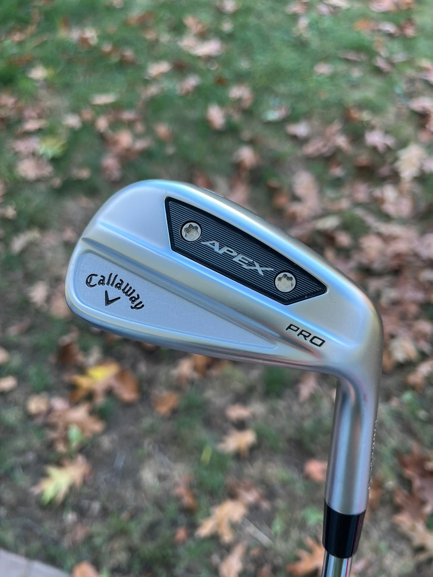 Apex Pro 24 Wedge
