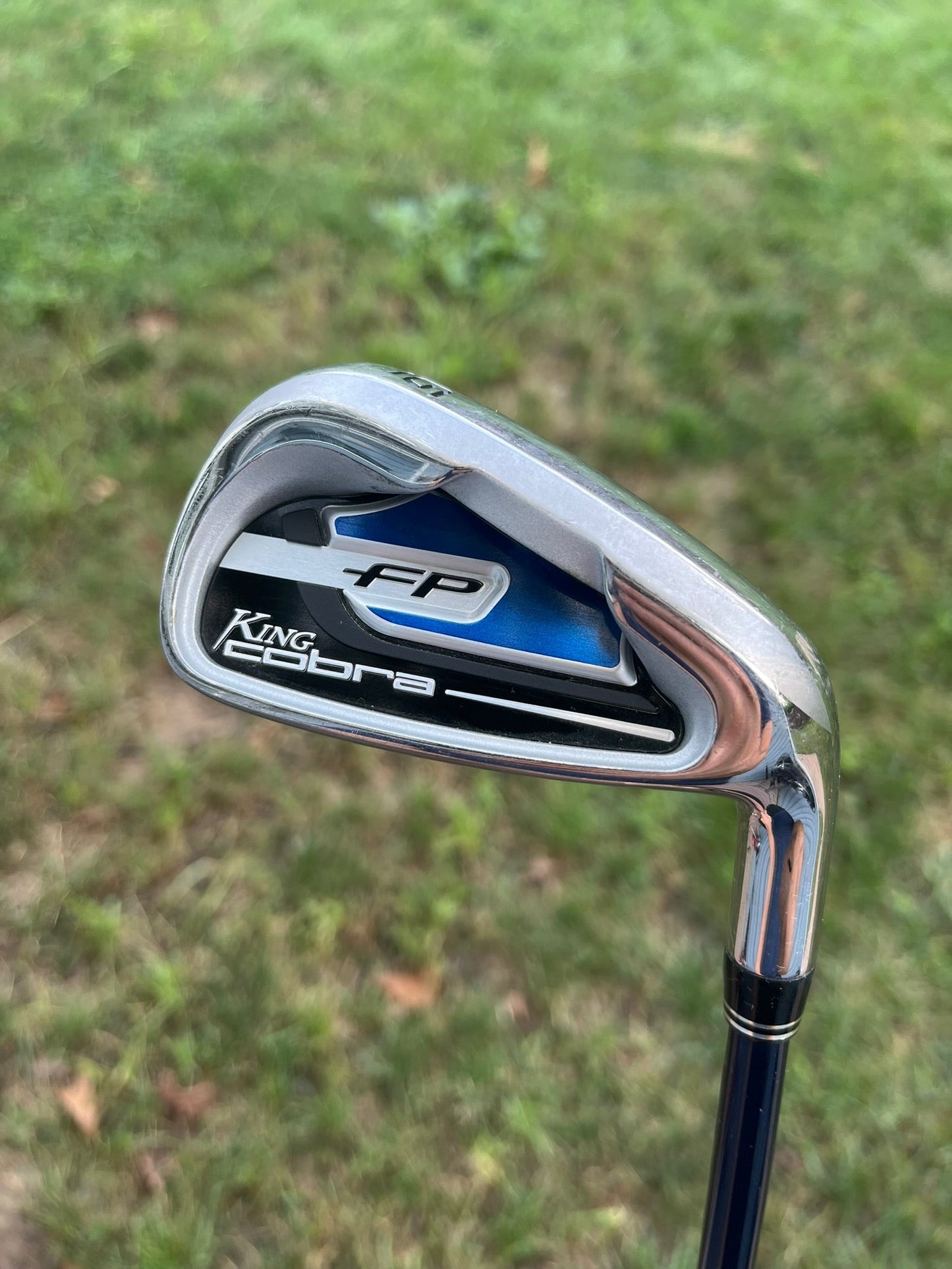 FP Individual Iron