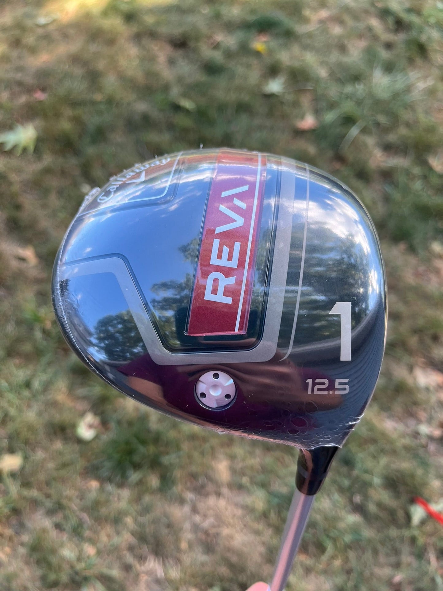 REVA Driver